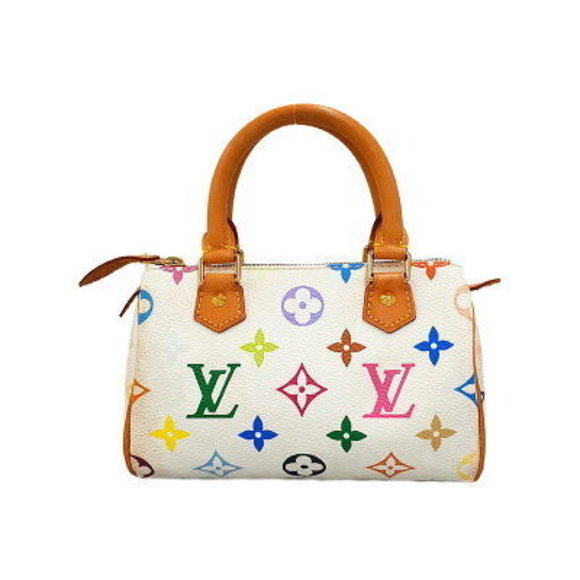 Louis Vuitton Multicolor Speedy Handbag - Picture 1 of 8